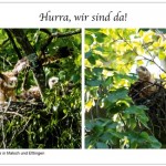 Vorderseite-Postkarte