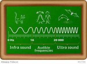 The sound waves vector diagram