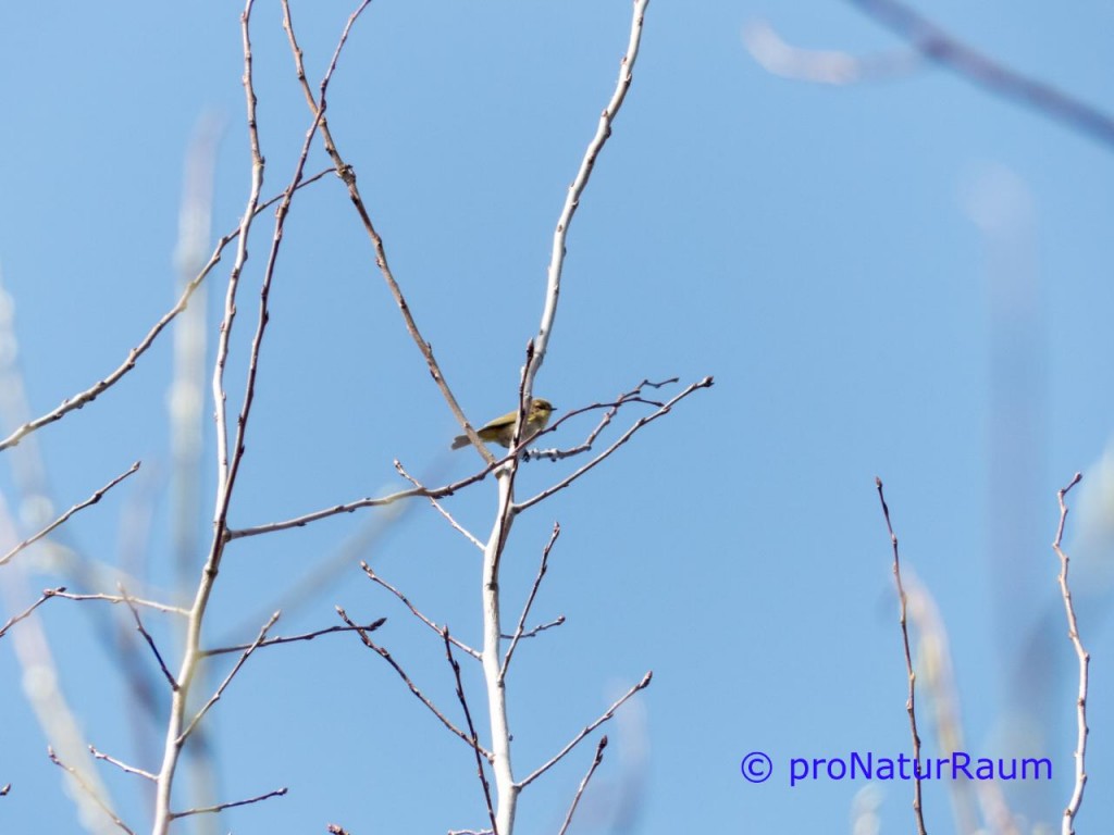 tmp_zilpzalps2540839062